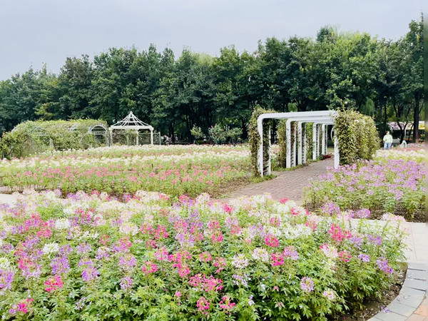 1665216307987681.jpg eac4ecd4b48ccc11b971190472f00e0_副本.jpg